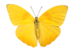 Captcha image 3689